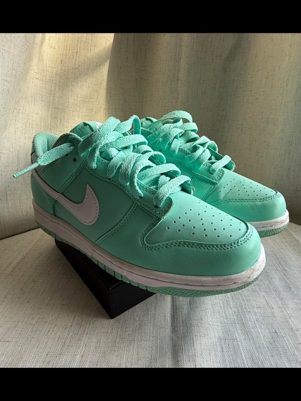 Nike Dunk Low-Style Sneakers in Mint with White Swoosh
